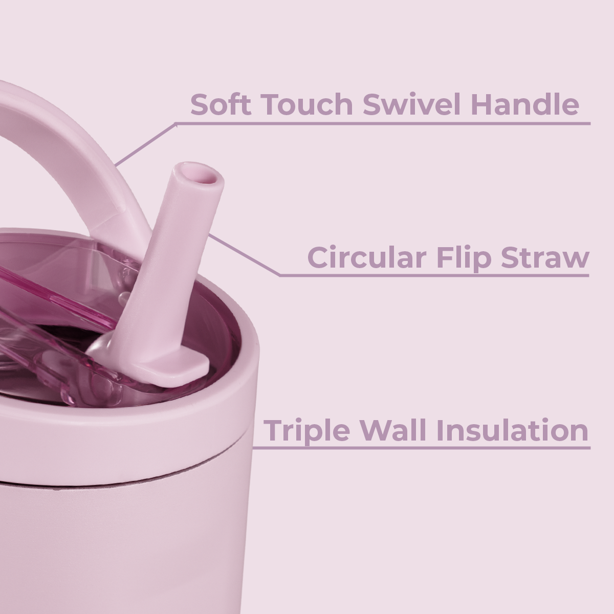 sweet-pea-r8 Sport14-SweetPea-WPI-8.png