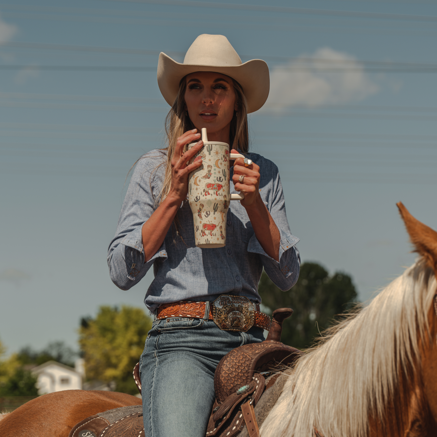 rodeo-q4 TRVL-Rodeo-6WPI.png